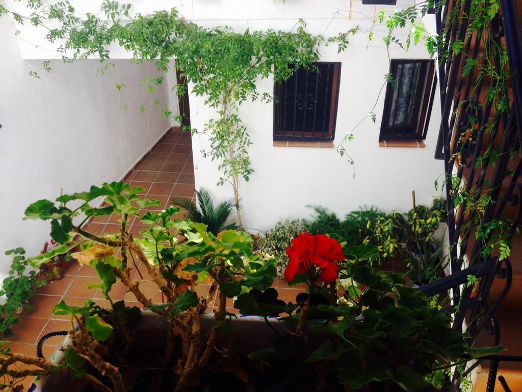 Casa Callejon De Echevarria Granada Eksteriør bilde