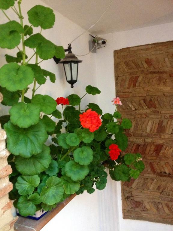 Casa Callejon De Echevarria Granada Eksteriør bilde